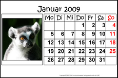 1-Januar-2009-quer.jpg